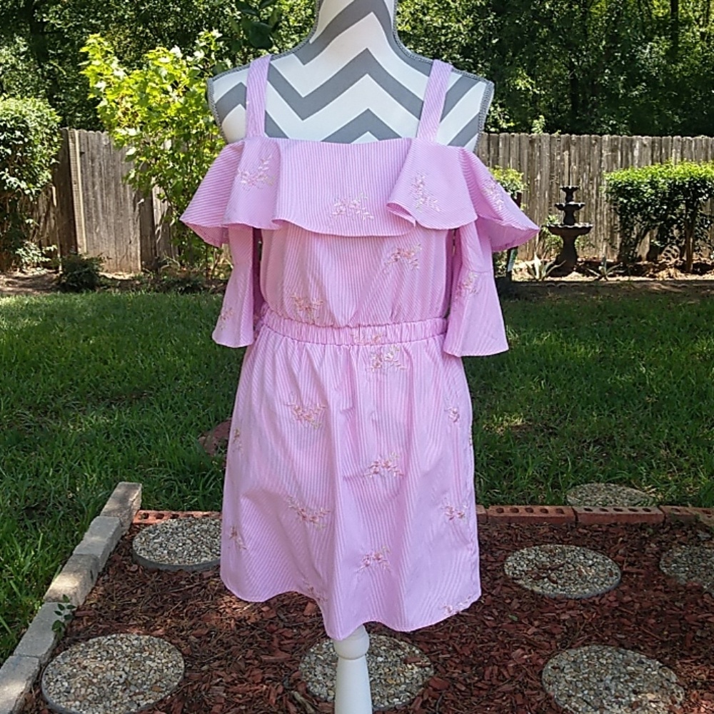 NWT Romeo + Juliet Embroidered Pink Striped Dress